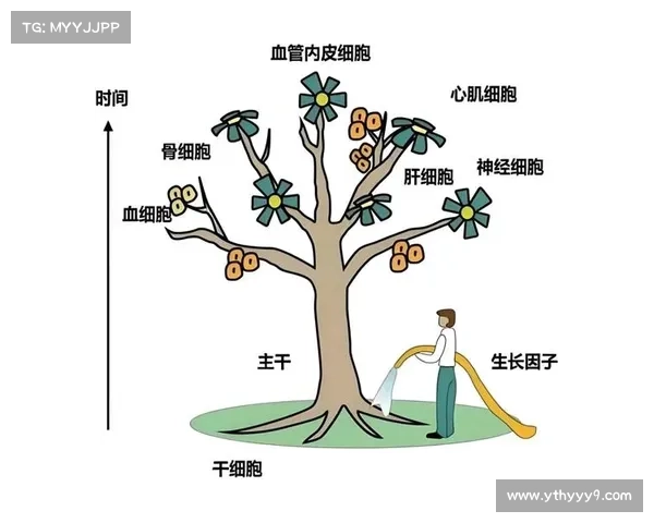 生命之心攻略—生命之心阅读题及答案:生命之心攻略秘籍,助你逐梦苍空 生命之心攻略—生命之心阅读题及答案:生命之心攻略秘籍,助你逐梦苍空
